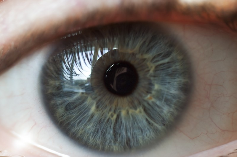 Digital Retina Imaging Centereach, NY